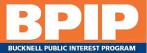 BPIP logo