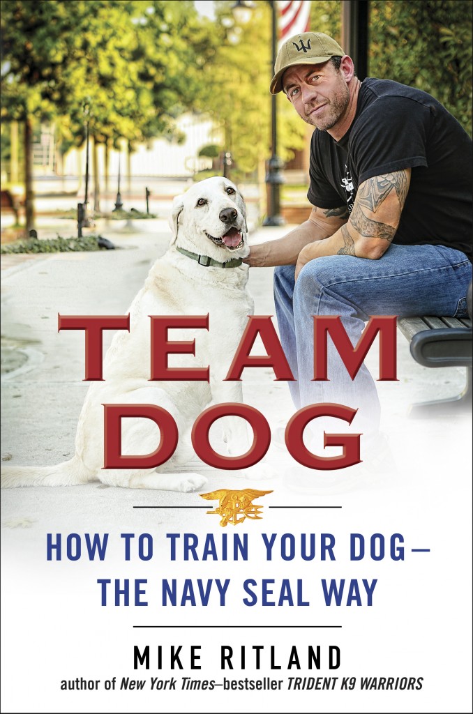 Team dog cover